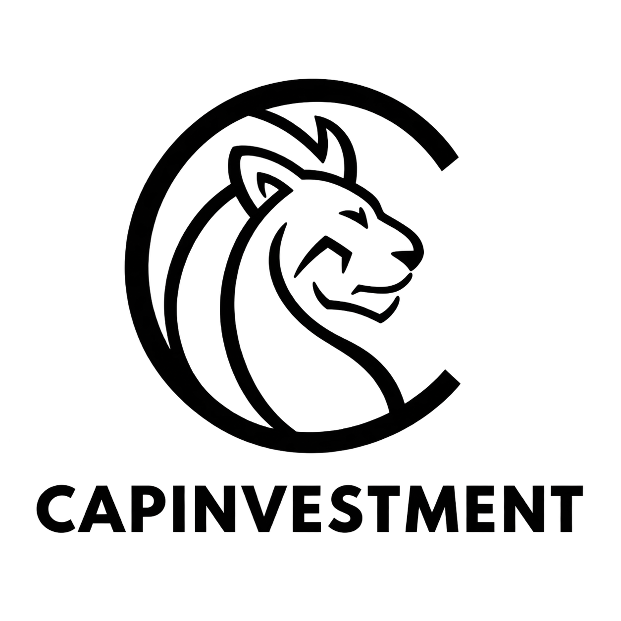 CapInvestment logo black