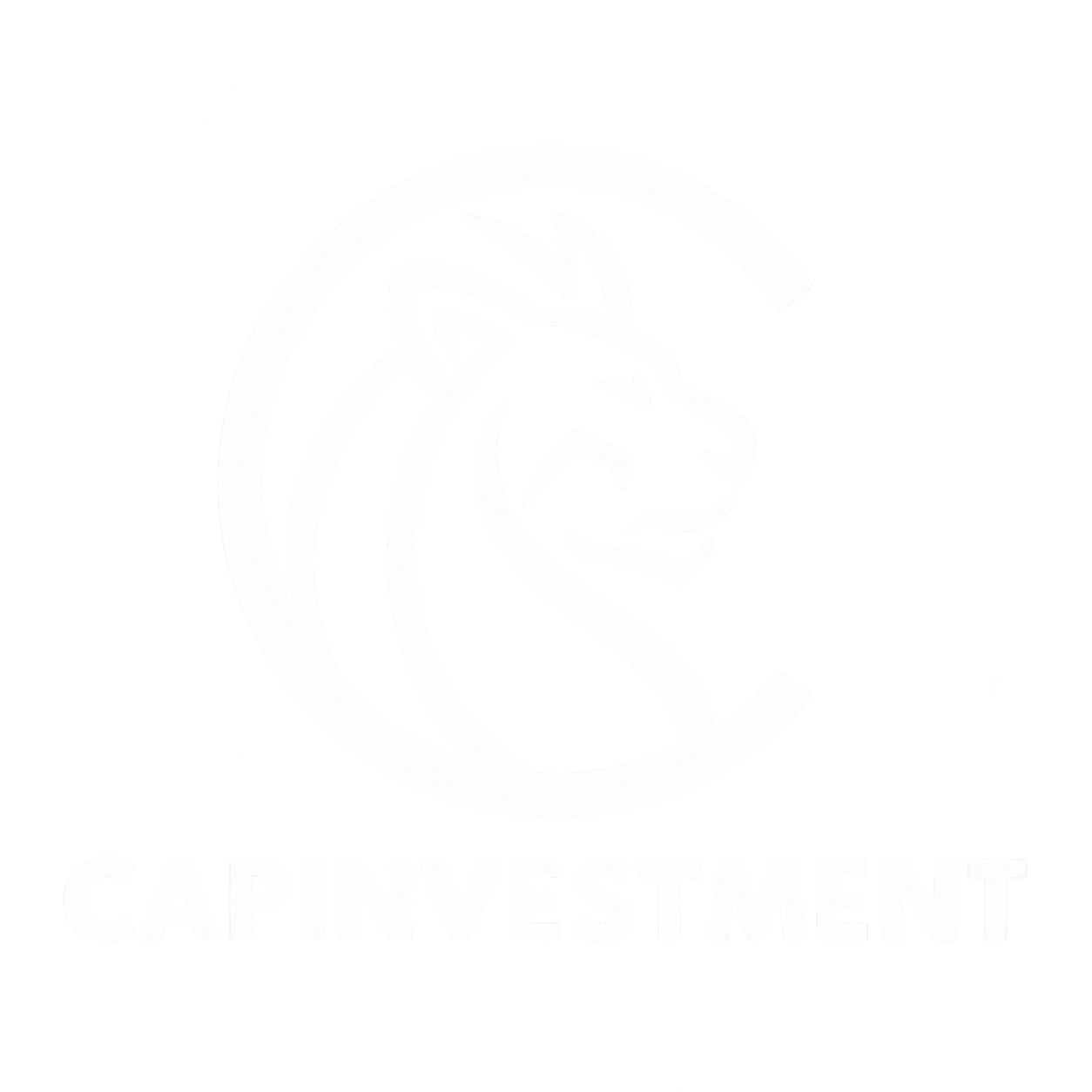 CapInvestment logo white